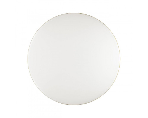 Купить Накладной светильник Sonex 3043/DL| VIVID-LIGHT.RU