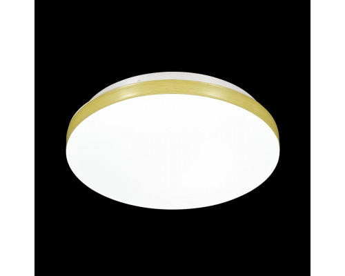 Оформить заказ Накладной светильник Sonex 3066/CL| VIVID-LIGHT.RU