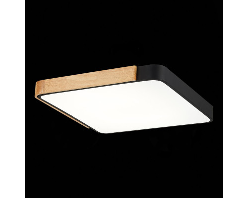 Купить Накладной светильник Evoluce SLE201242-01| VIVID-LIGHT.RU