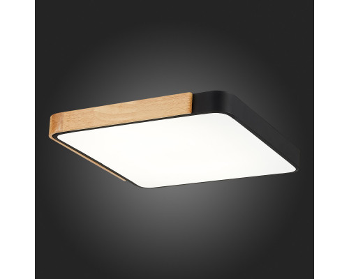 Купить Накладной светильник Evoluce SLE201242-01| VIVID-LIGHT.RU