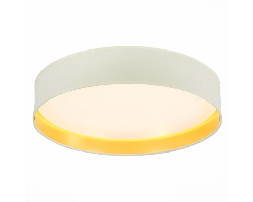 Купить Накладной светильник Evoluce SLE300552-01| VIVID-LIGHT.RU