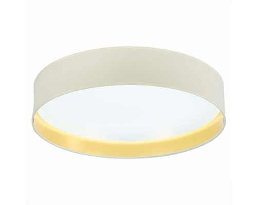 Купить Накладной светильник Evoluce SLE300552-01| VIVID-LIGHT.RU