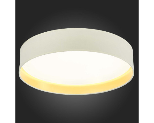 Купить Накладной светильник Evoluce SLE300552-01| VIVID-LIGHT.RU