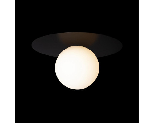 Оформить заказ Накладной светильник LOFT IT 10120/250C Black| VIVID-LIGHT.RU