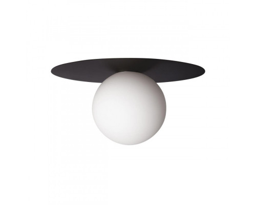 Оформить заказ Накладной светильник LOFT IT 10120/250C Black| VIVID-LIGHT.RU