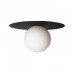 Оформить заказ Накладной светильник LOFT IT 10120/250C Black| VIVID-LIGHT.RU