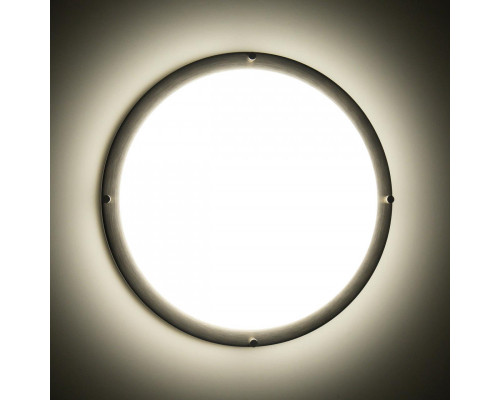 Оформить заказ Накладной светильник Citilux CL709321N| VIVID-LIGHT.RU