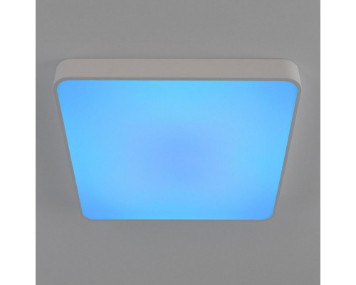 Оформить заказ Накладной светильник Citilux CL724K95G0| VIVID-LIGHT.RU