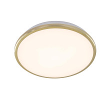 Накладной светильник Citilux CL702222W