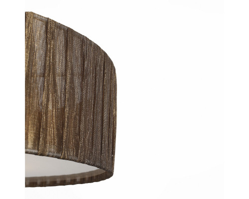 Оформить заказ Накладной светильник ST-Luce SL357.702.05| VIVID-LIGHT.RU