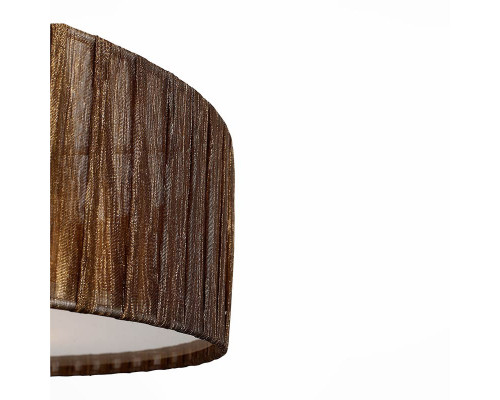 Оформить заказ Накладной светильник ST-Luce SL357.702.05| VIVID-LIGHT.RU