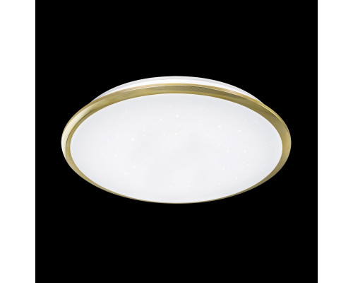 Заказать Накладной светильник Citilux CL70362| VIVID-LIGHT.RU