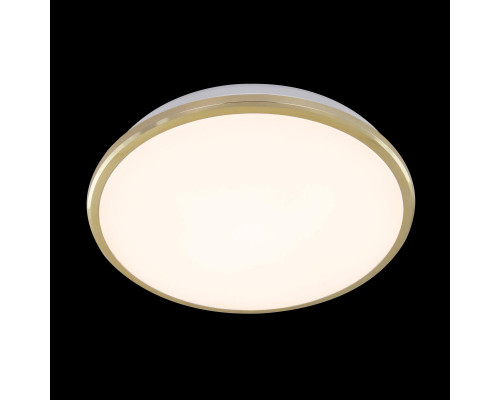 Оформить заказ Накладной светильник Citilux CL702222W| VIVID-LIGHT.RU