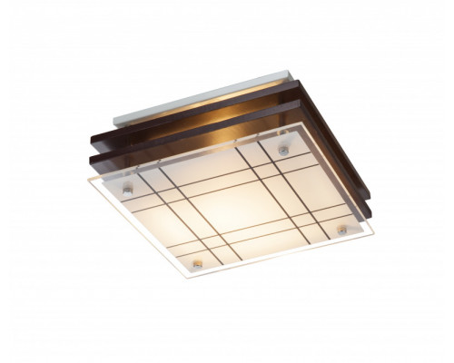 Заказать Накладной светильник Globo 48089| VIVID-LIGHT.RU