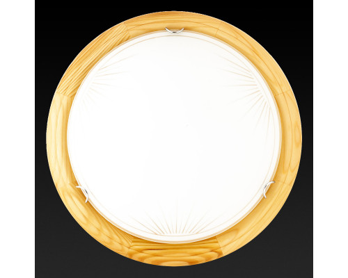 Оформить заказ Накладной светильник TOPLIGHT TL9144Y-02PN| VIVID-LIGHT.RU