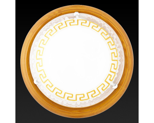 Заказать Накладной светильник TOPLIGHT TL9173Y-02OA| VIVID-LIGHT.RU