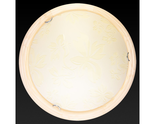 Оформить заказ Накладной светильник TOPLIGHT TL9640Y-00PN| VIVID-LIGHT.RU