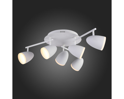 Заказать Накладной светильник ST-Luce SL387.501.06| VIVID-LIGHT.RU