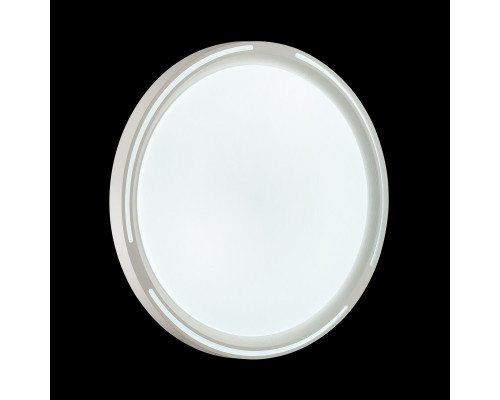 Сделать заказ Накладной светильник Sonex 3010/DL| VIVID-LIGHT.RU