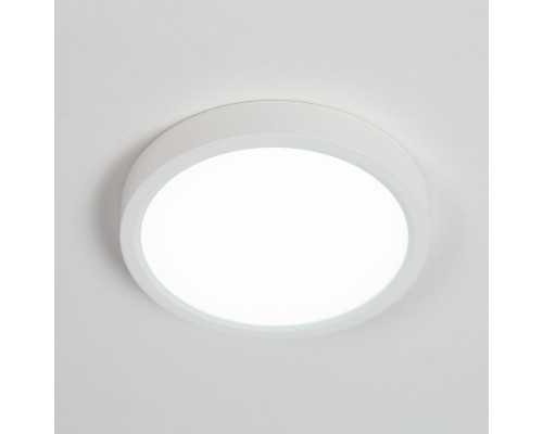 Оформить заказ Накладной светильник Citilux CL738120N| VIVID-LIGHT.RU