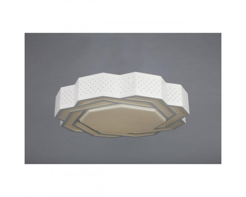 Заказать Накладной светильник Omnilux OML-43607-40| VIVID-LIGHT.RU