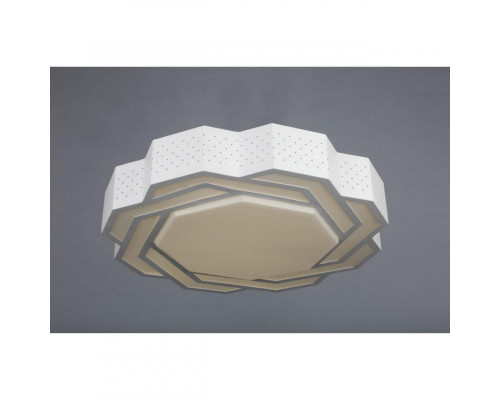 Заказать Накладной светильник Omnilux OML-43607-40| VIVID-LIGHT.RU