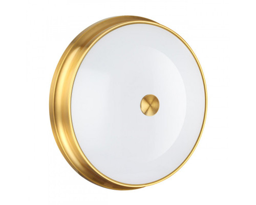 Заказать Накладной светильник Odeon Light 4824/4C| VIVID-LIGHT.RU