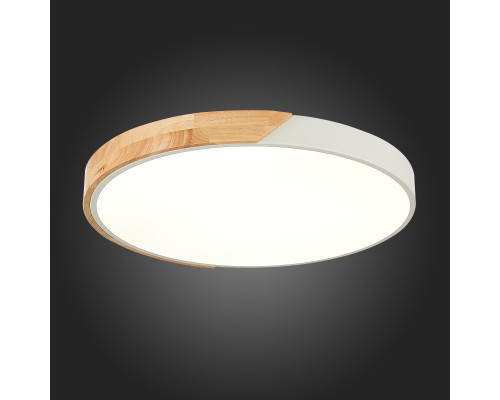 Оформить заказ Накладной светильник Evoluce SLE200952-01| VIVID-LIGHT.RU