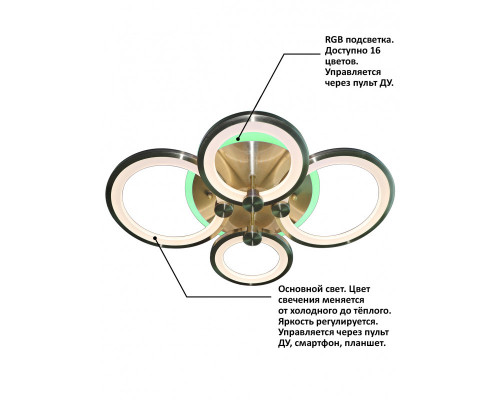 Оформить заказ Накладной светильник Natali Kovaltseva INNOVATION STYLE 83025| VIVID-LIGHT.RU