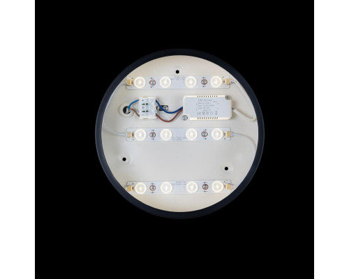 Заказать Накладной светильник LOFT IT 10002/12 Black| VIVID-LIGHT.RU