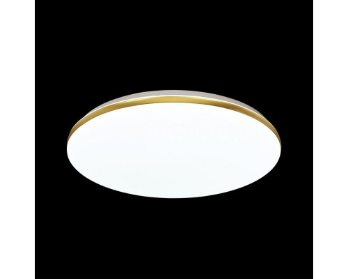 Заказать Накладной светильник Sonex 3043/CL| VIVID-LIGHT.RU