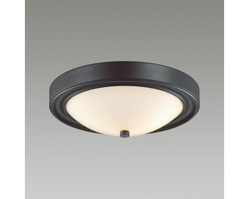 Заказать Накладной светильник LUMION 5260/2C| VIVID-LIGHT.RU