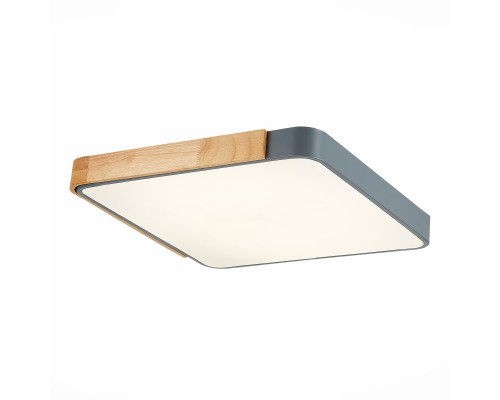 Купить Накладной светильник Evoluce SLE201272-01| VIVID-LIGHT.RU