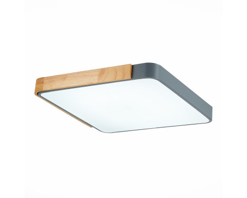 Купить Накладной светильник Evoluce SLE201272-01| VIVID-LIGHT.RU