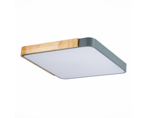 Купить Накладной светильник Evoluce SLE201272-01| VIVID-LIGHT.RU