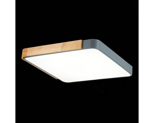 Купить Накладной светильник Evoluce SLE201272-01| VIVID-LIGHT.RU