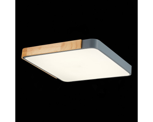 Купить Накладной светильник Evoluce SLE201272-01| VIVID-LIGHT.RU