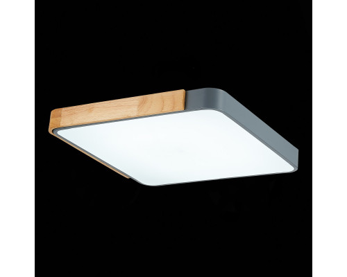 Купить Накладной светильник Evoluce SLE201272-01| VIVID-LIGHT.RU