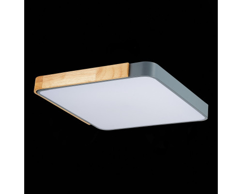 Купить Накладной светильник Evoluce SLE201272-01| VIVID-LIGHT.RU