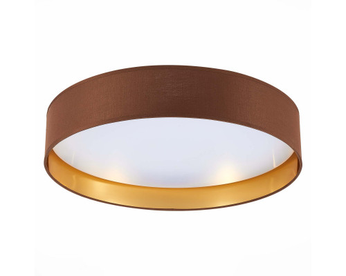 Сделать заказ Накладной светильник Evoluce SLE300592-01| VIVID-LIGHT.RU