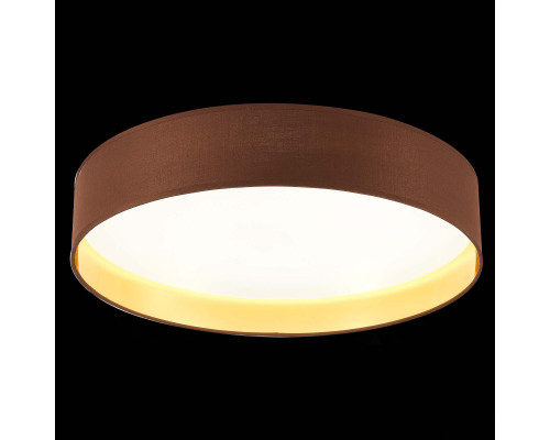 Сделать заказ Накладной светильник Evoluce SLE300592-01| VIVID-LIGHT.RU