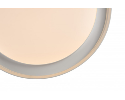 Сделать заказ Накладной светильник Denkirs DK6515-WH| VIVID-LIGHT.RU