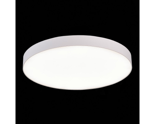 Заказать Накладной светильник ST-Luce ST606.542.96| VIVID-LIGHT.RU