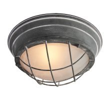 Накладной светильник LOFT LSP-9881