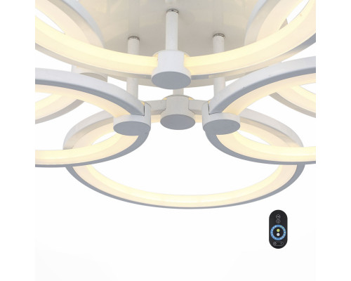 Оформить заказ Накладной светильник ST-Luce SL867.502.06| VIVID-LIGHT.RU