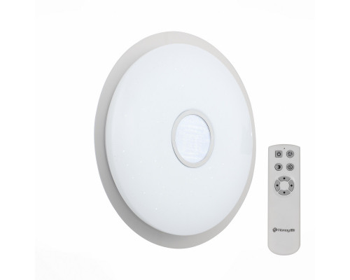 Оформить заказ Накладной светильник ST-Luce SLE350.112.01| VIVID-LIGHT.RU