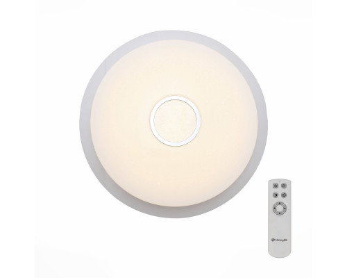 Оформить заказ Накладной светильник ST-Luce SLE350.112.01| VIVID-LIGHT.RU