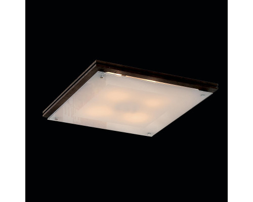 Сделать заказ Накладной светильник Citilux CL938541| VIVID-LIGHT.RU