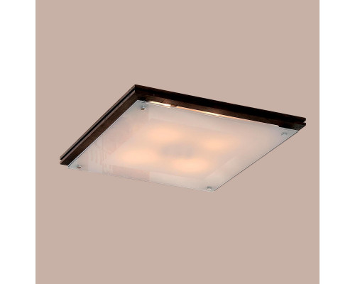 Сделать заказ Накладной светильник Citilux CL938541| VIVID-LIGHT.RU