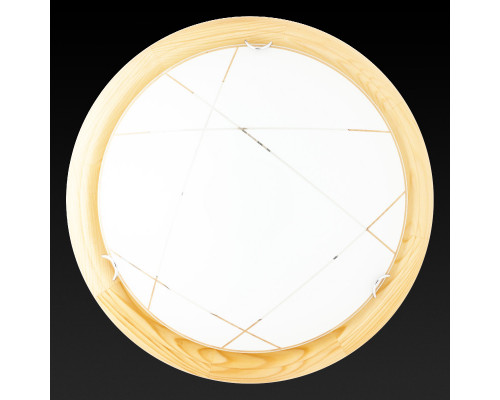 Оформить заказ Накладной светильник TOPLIGHT TL9013Y-02PN| VIVID-LIGHT.RU